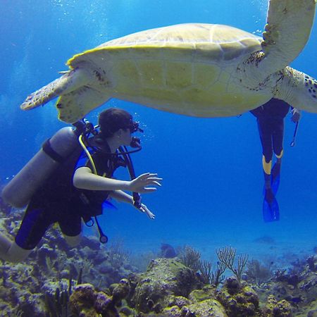 Roxon Red Sea Eilat - Adults Only Exterior foto