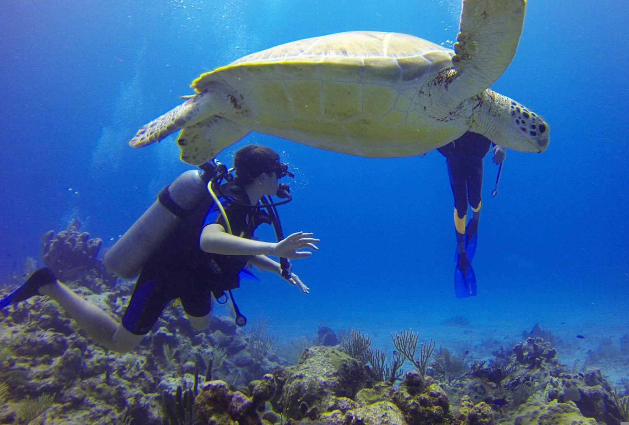 Roxon Red Sea Eilat - Adults Only Exterior foto